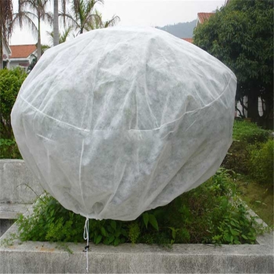 Tessuto non tessuto agricolo 165gsm dei pp Spunbond respirabile