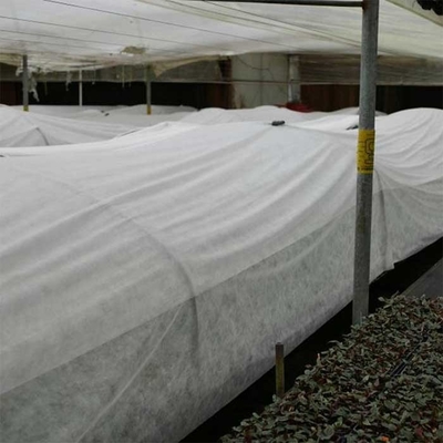 di agricoltura 160gsm strappo bianco del tessuto 190cm non resistente