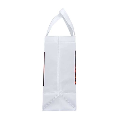 Gli anti pp batterici hanno laminato le borse non tessute promozionali resistenti non tessute degli strizzacervelli della borsa